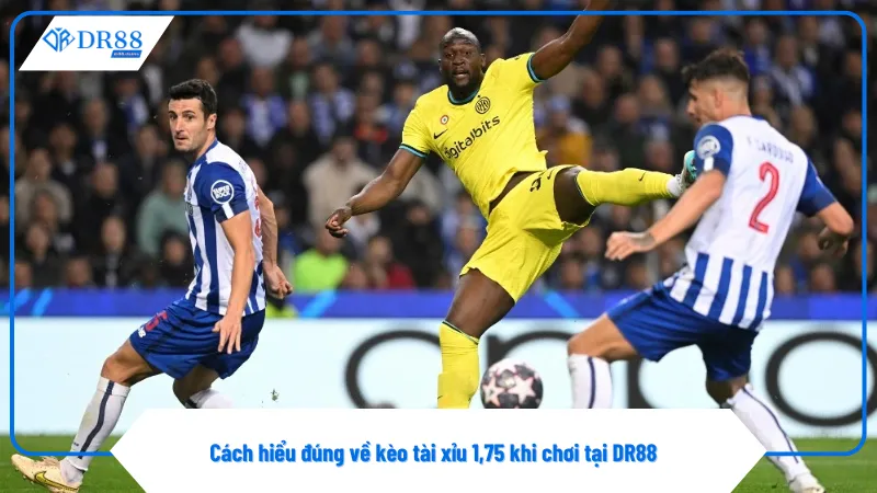 Tài Xỉu 1,75 Và Những Điều Cần Biết Khi Chơi Tại DR88 2 Kèo tài xỉu 1,75 có cách tính thưởng đặc biệt cần nắm rõ