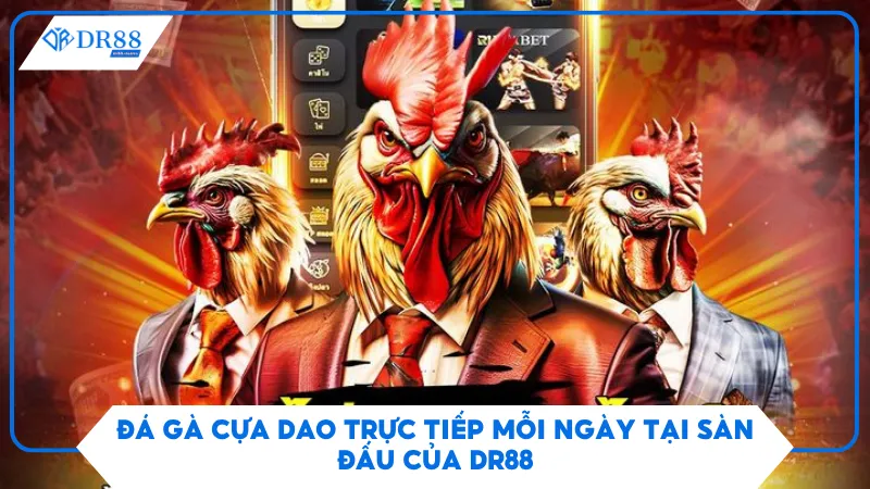 Đá Gà Cựa Dao Trực Tiếp Mỗi Ngày Tại Sàn Đấu Của Dr88 2 Đá Gà Cựa Dao Trực Tiếp Mỗi Ngày Tại Sàn Đấu Của Dr88