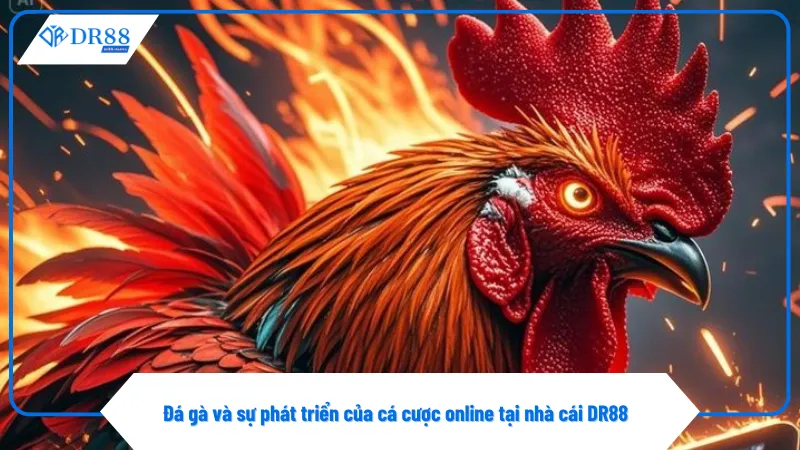 Người chơi có thể theo dõi trận đấu đá gà qua livestream sắc nét