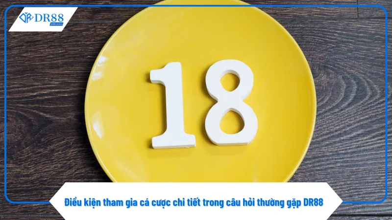 Câu Hỏi Thường Gặp 1 Người chơi phải đủ 18 tuổi theo câu hỏi thường gặp của DR88