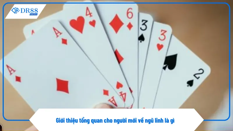 Ngũ Linh Là Gì Mà Khiến Game Thủ Dr88 Săn Đón Không Ngừng 2 Ngũ linh là gì là khái niệm quan trọng trong game xì dách