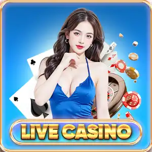 Live casino DR88