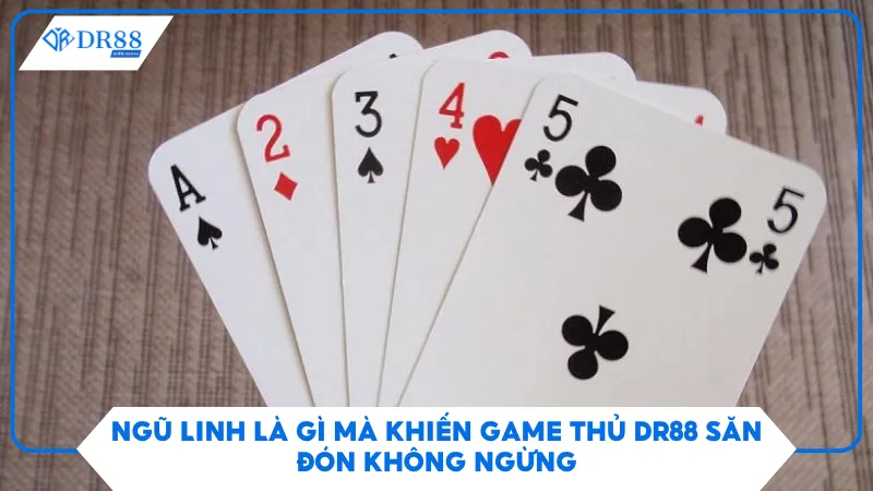 Ngũ Linh Là Gì Mà Khiến Game Thủ Dr88 Săn Đón Không Ngừng 1 Ngũ Linh Là Gì Mà Khiến Game Thủ Dr88 Săn Đón Không Ngừng
