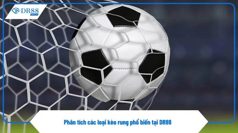 Kèo Rung Ở Dr88 – Lựa Chọn Cá Cược Thông Minh Và Kịp Thời 2 Kèo rung chấp bóng thay đổi nhanh theo diễn biến trận đấu
