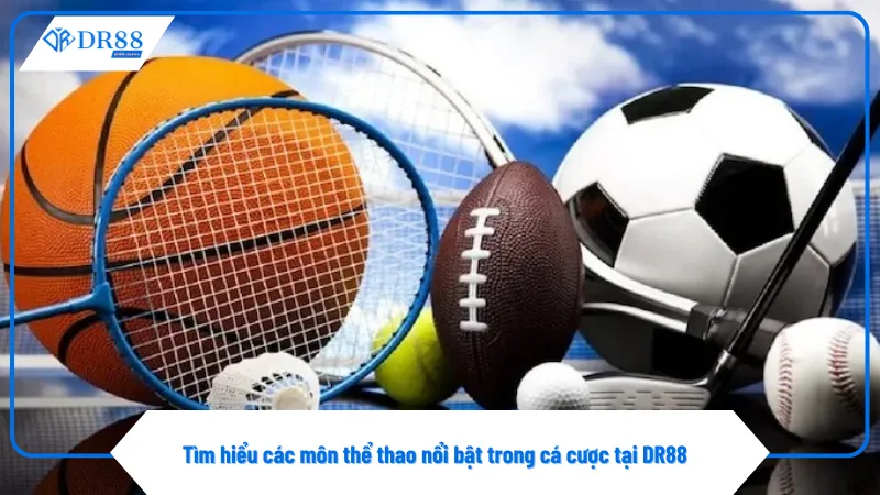 Nhà cái cung cấp đa dạng các môn thể thao cá cược hàng đầu